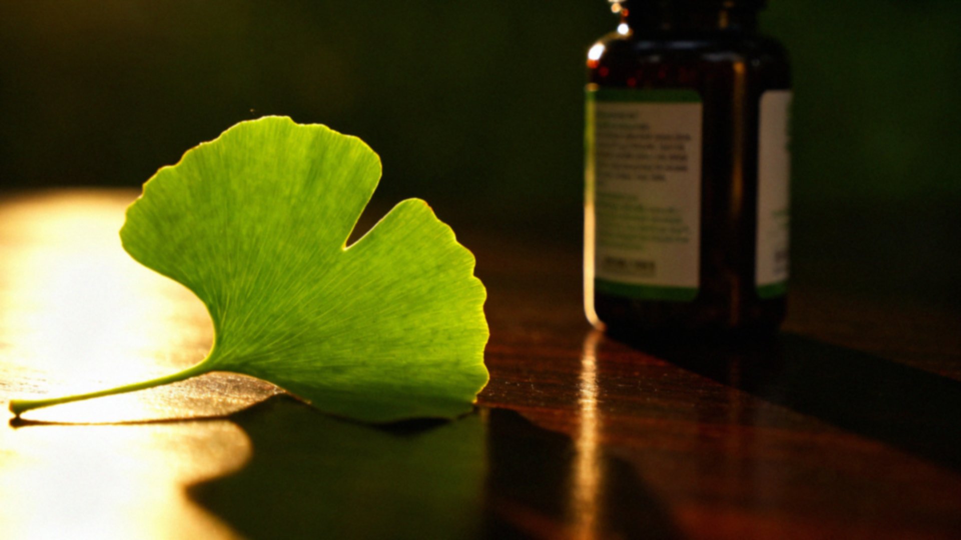 Ginkgo biloba — jaki preparat wybrać dla lepszej pamięci?