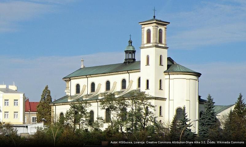Zdjęcie 6