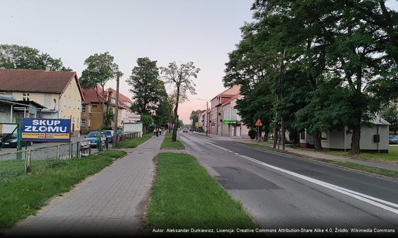 Zdjęcie 4